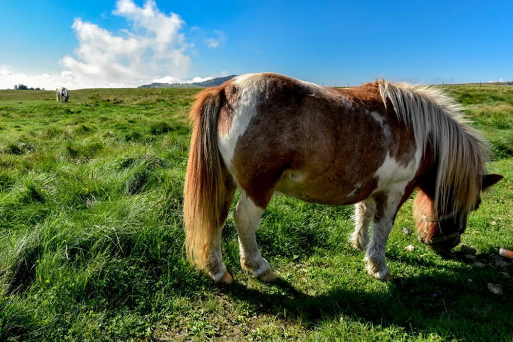 むさしの村周辺の子連れの宿泊におすすめのホテル7選！むさしの村に行くのに便利なホテルをご紹介！