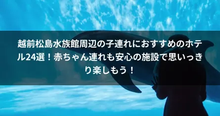 越前松島水族館周辺の子連れにおすすめのホテル24選！赤ちゃん連れも安心の施設で思いっきり楽しもう！