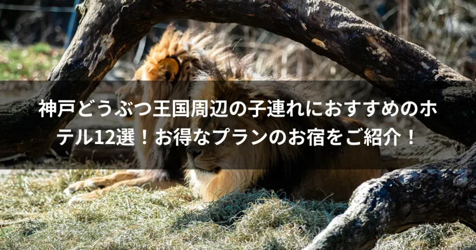 神戸どうぶつ王国周辺の子連れにおすすめのホテル12選！お得なプランのお宿をご紹介！
