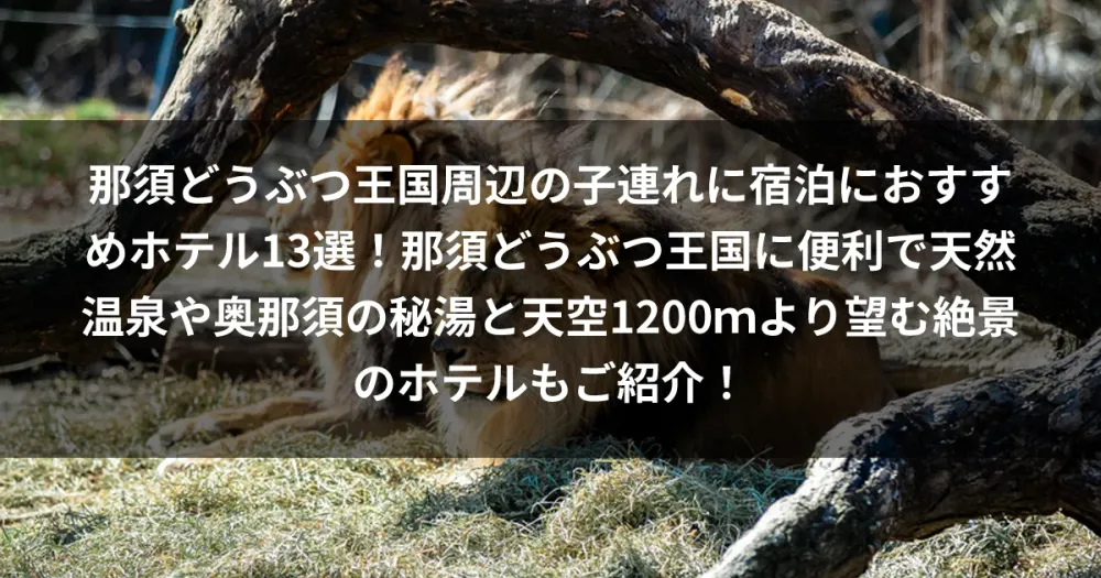 那須どうぶつ王国周辺の子連れに宿泊におすすめホテル13選！那須どうぶつ王国に便利で天然温泉や奥那須の秘湯と天空1200ｍより望む絶景のホテルもご紹介！