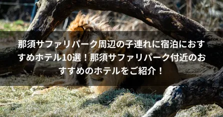 那須サファリパーク周辺の子連れに宿泊におすすめホテル10選！那須サファリパーク付近のおすすめのホテルをご紹介！ 
