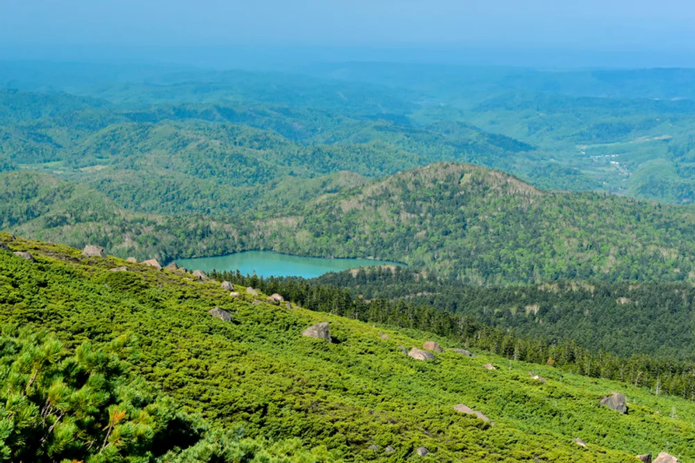 六甲山の子連れ宿泊におすすめのホテル14選！大自然で温泉でリフレッシュできるお宿もご紹介！