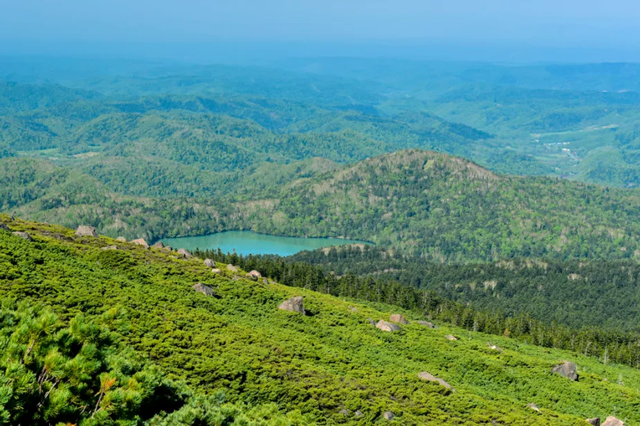 六甲山の子連れ宿泊におすすめのホテル14選！大自然で温泉でリフレッシュできるお宿もご紹介！