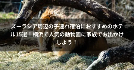 ズーラシア周辺の子連れ宿泊におすすめのホテル15選！横浜で人気の動物園に家族でお出かけしよう！